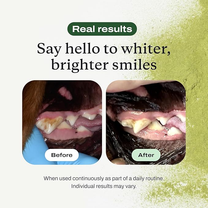 PetLab Co. ProBright Dental Powder - Dog Breath Freshener - Teeth Cleaning Made Easy – Targets Tartar & Bad Breath - Formulated for Small Dogs - Packaging May Vary