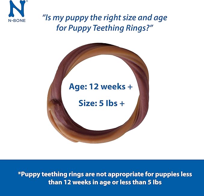 N-Bone Puppy Teething Ring Pumpkin Flavor 7.2 OZ/(6 Pack)