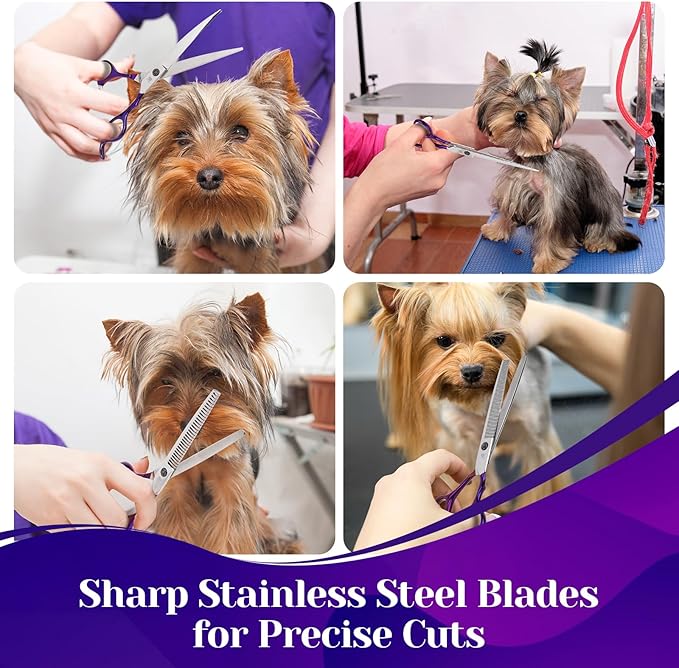 Professional Dog Grooming Scissors Set, Curved Dog Grooming, Thinning Scissors,Chunkers,440C Stainless Steel pet Grooming Scissors