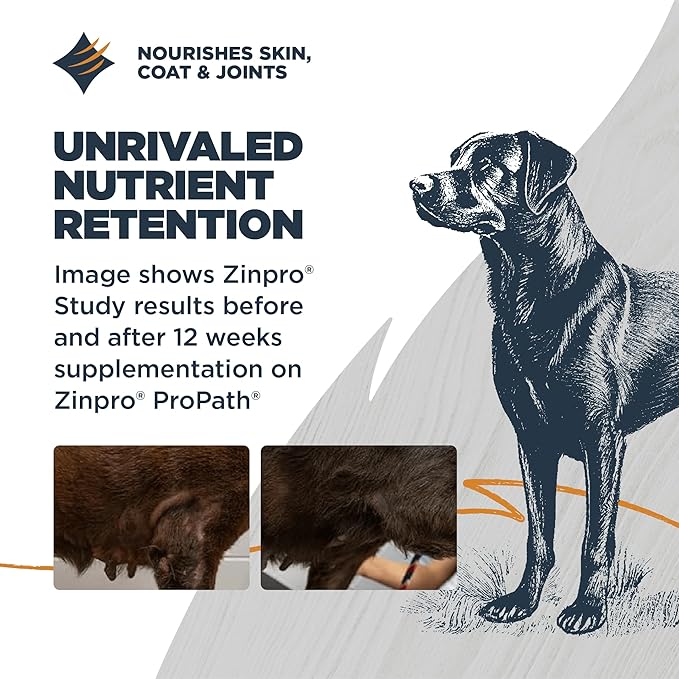 Blackwood Sensitive Skin & Stomach Dry Dog Food, Lamb Meal & Brown Rice with Ancient Grains, 10 Pound Bag with Prebiotics & Probiotics to Promote Gut Health