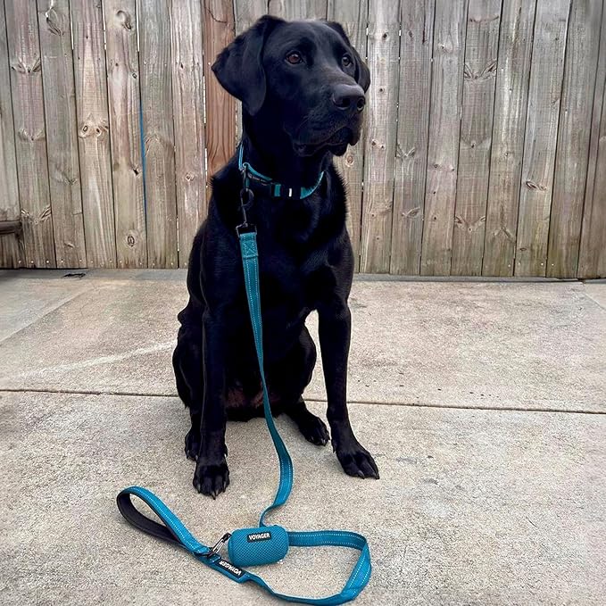 Voyager Reflective Dog Leash Collar Set with Neoprene Handle Supports Small, Medium, and Large Breed Puppies, Cute and Heavy Duty for Walking, Running, and Training - Turquoise, S