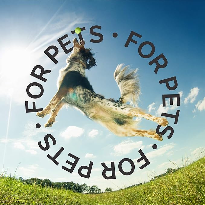 Bark2Basics Brighten White Dog Shampoo, 1 Gallon, Natural, Chamomile, Revives Vibrant Natural Color of Coat, Lustrous Shine, Whitens, Removes Stains, Professional