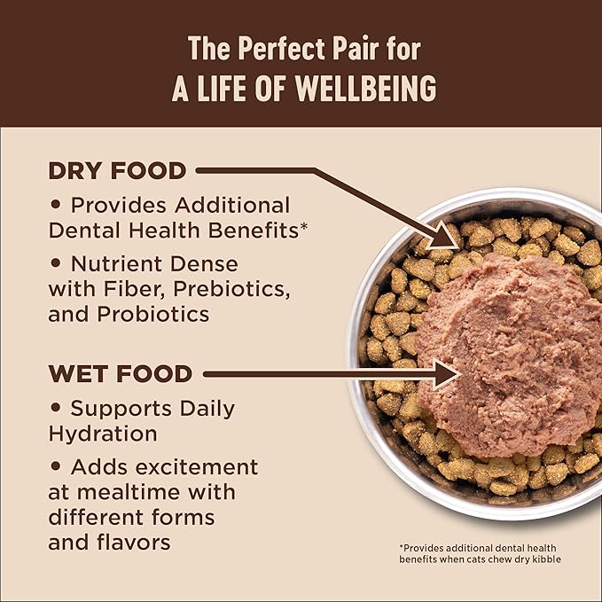 Wellness CORE+ Indoor Pate Adult Wet Cat Food, Natural, Protein-Rich, Grain Free, 5.5 Ounce, 24 Pack (Chicken & Chicken Liver)