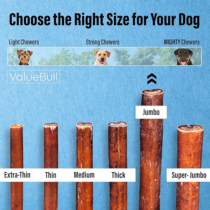 ValueBull Bully Sticks for Large Dogs, Jumbo 6 Inch, 100 Count Bulk Pack - All Natural, Grass Fed, Single Ingredient, Long Lasting Dog Treats for Aggressive Chewers