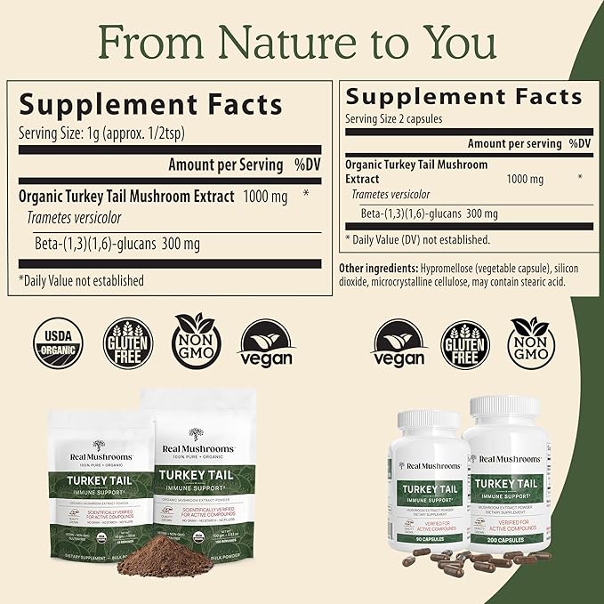 Real Mushrooms Turkey Tail Mushroom Powder – Organic Mushroom Extract for Daily Wellness Gut Harmony, & Energy Support with Beta Glucans – Vegan, Non-GMO, 45 Servings Functional Supplement