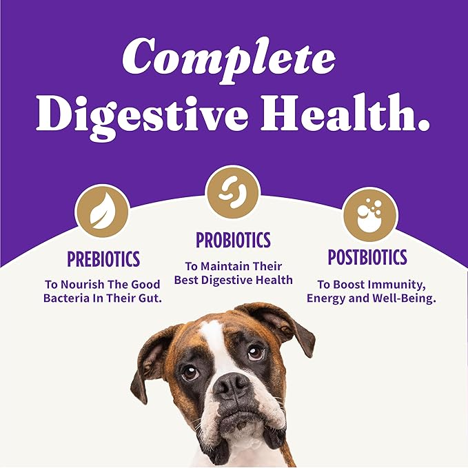 Halo Holistic Vegan Dog Food, Plant-Based Peanut Butter Recipe, Dry Dog Food, Complete Digestive Health, Kibble for Adult Dogs, 3.5 lb Bag