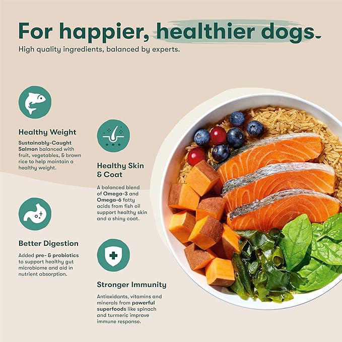 Jinx Premium Dry Dog Food, for All Life-Stages - Real Salmon, Brown Rice & Sweet Potato Kibble with Superfoods for Immune Support & Probiotics for Digestive Support - No Fillers – 4lb