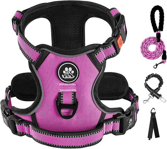 IVY&LANE No Pull Dog Harness for Large Dogs, Dog Vest Harness with Leash, Safety Belt and Storage Strap, Fully Adjustable Harness, 360° Reflective Strip, Soft Handle (Fuchsia Pink, L)