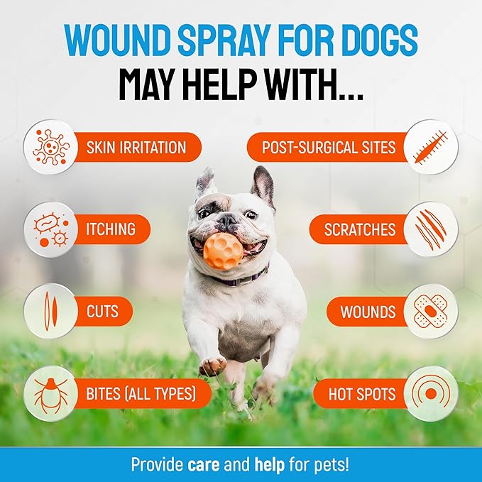 Hot Spot Treatment for Dogs – Silver Wound Spray Helps with Irritation, Bites, Burns, Rashes, Itch, Scratching – Better Use with a Dog Cone – 4 oz