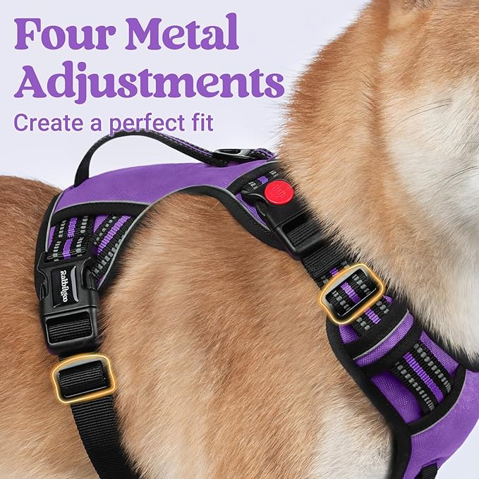 rabbitgoo Dog Harness for Large Dogs, No Pull Pet Harness with Soft Padded Handle, Adjustable Reflective Vest with 3 Buckles, Easy Walking Harness with 2 Leash Clips, Purple, M