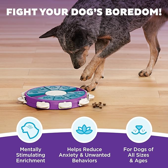 Outward Hound by Nina Ottosson Dog Twister Treat Puzzle Enrichment Toy, Level 3 Advanced, Purple
