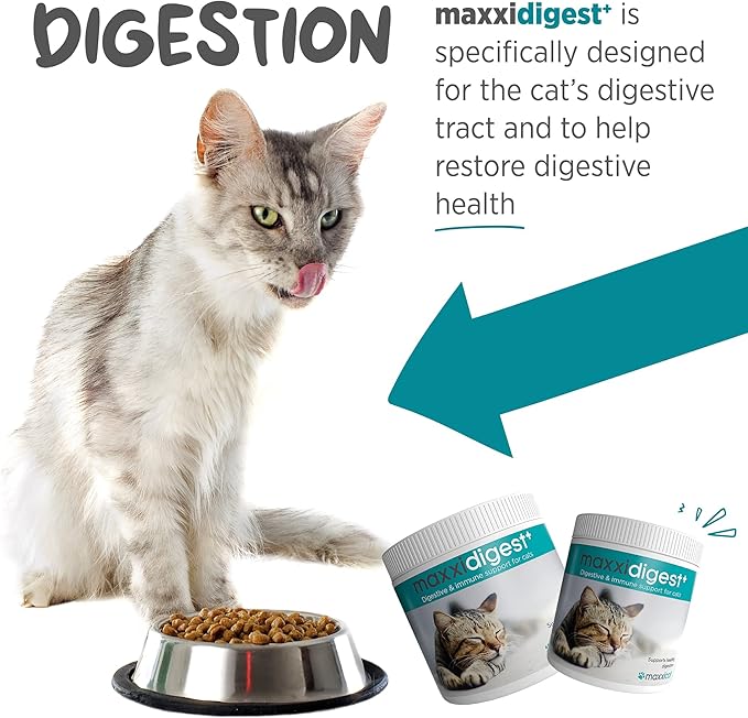 maxxipaws maxxidigest+ Prebiotic & Probiotic for Cats 3.2oz | Cat Probiotic Powder with Advanced Digestive Enzymes for Gut Health & Immunity | Supports Digestion, Food Sensitivities & Itchy Skin