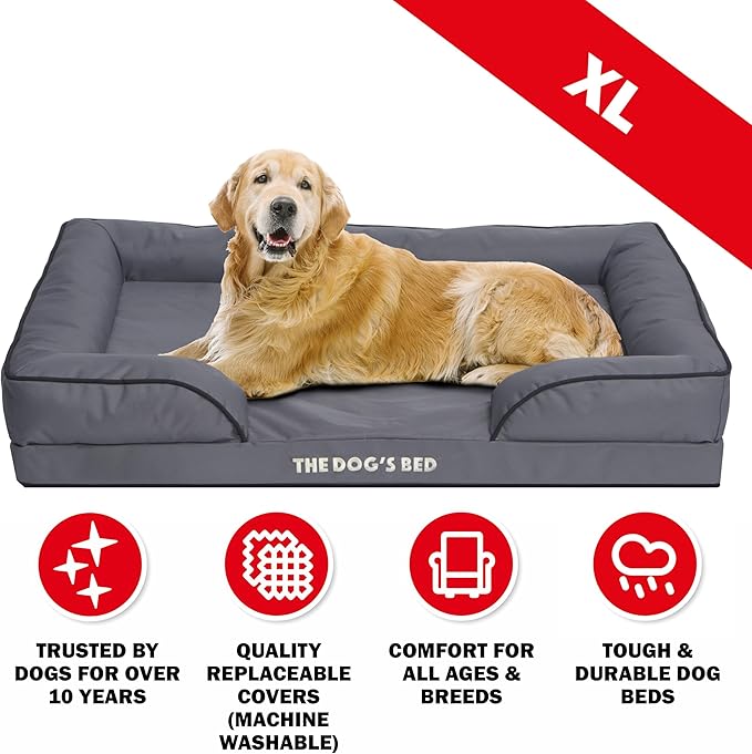The Dog’s Bed, Orthopedic Standard Foam Waterproof Dog Bed with Standard Support, XL Grey with Black Trim, Waterproof, Supportive Dog Bed with Replaceable Covers