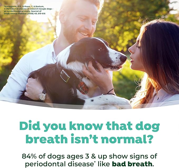 TropiClean Fresh Breath Dental Foam Spray for Dogs & Cats | Quick Breath Freshener and Teeth Cleaning Solution | Made in The USA | 4.5oz.