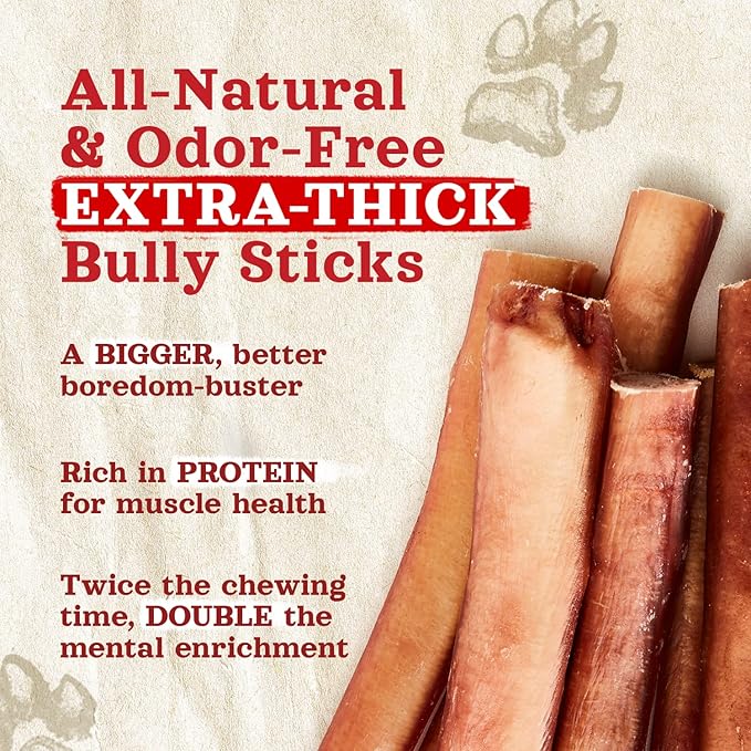 Natural Farm Odor-Free Thick Bully Sticks (12”, 5-Pack) All-Natural Long-Lasting Dog Chews, 100% Beef Pizzle, Grass-Fed, Grain-Free, Protein for Muscle Development & Energy, Perfect for Large Dogs
