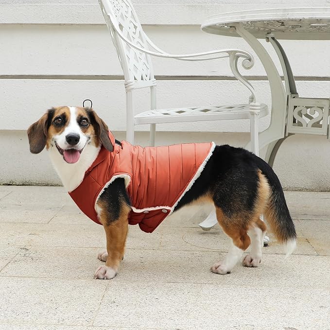 Fleece Lining Dog Hoodie with Harness Built in,Extra Warm Small Dog Jacket in Winter Puppy Coats with Drawstring Hooded,Orange XS