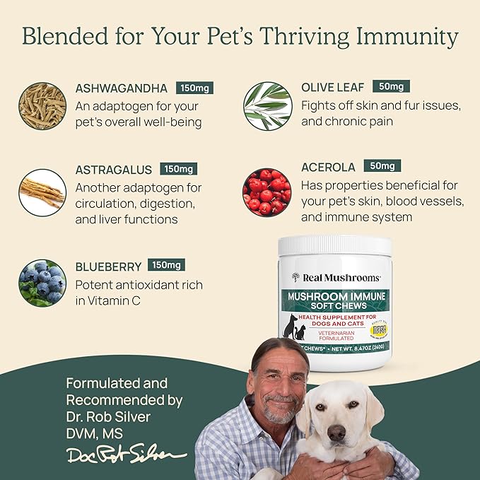 Real Mushroom Immune Pet Chews – For Daily Digestive & Immune Health – Mushrooms for Dogs & Cats Functional Treat – Mushroom Supplement for Dogs & Cats – 1 to 4 Chews For All Breeds & Sizes (60 Count)