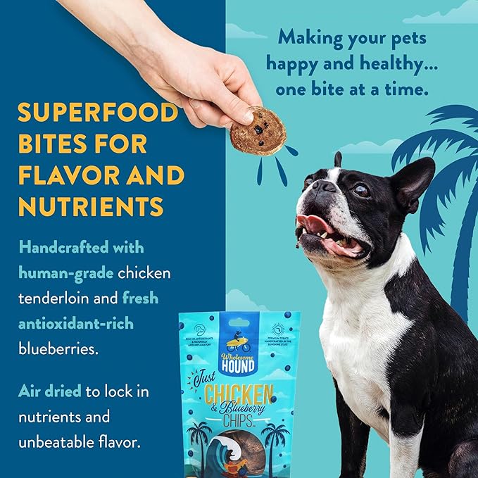 Just Chicken & Blueberry Chips | Two Premium Ingredient & Healthy Dog Treats Rich in Antioxidants | All Natural Canine Rewards | All Breed Sizes Dog Training Treats | Made in USA - 3oz