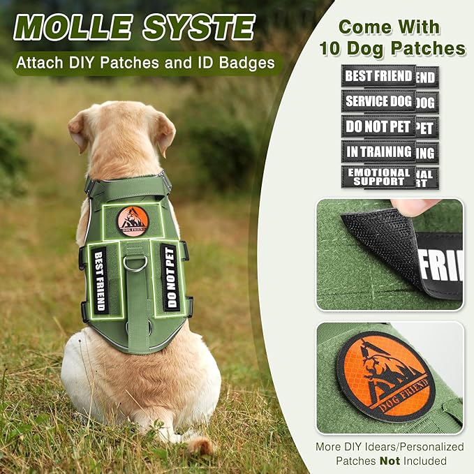 Tactical Service Dog Vest Harness and Leash Set,Heavy Duty Dog Harness with Metal Buckles for Large Dogs,Adjustable No Pull Pet Vest with 10 Patches,for Training Working,Green L