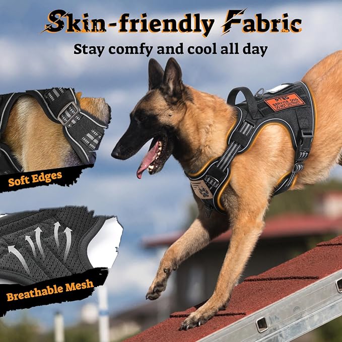rabbitgoo Dog Harness for Large Dogs No Pull, Tactical Service Pet Vest with Molle and Control Handle, Adjustable and Reflective Military Harness for Easy Walking and Training, Black, L