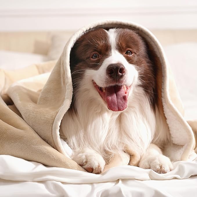 gogobunny Waterproof Bed Blanket, Reversible Sherpa Fleece Throw Blanket for Dog Puppy Cat, Furniture Cover Protects Bed Couch Sofa from Liquid Pee and Pet Fur (Beige, 50x60 inches)