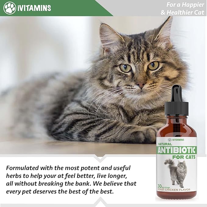 Cat Antibiotic for Infections, UTIs, Respiratory Moments, Cold, & Allergies | Antibiotics for Cats of All Ages & Breeds | Chicken Flavor | 1 fl oz | (1)