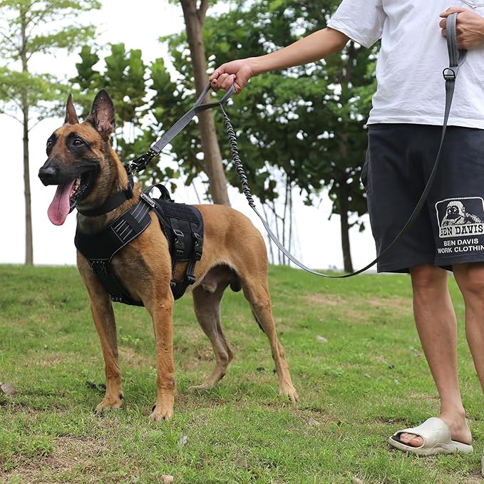 ICEFANG Tactical Dog Leash,K9 Training Walking Bungee Lead with 2 Control Handle,Heavy Duty Quick Release Metal Clasp,for Medium Large Breed (Reflective Grey, 6 FT)