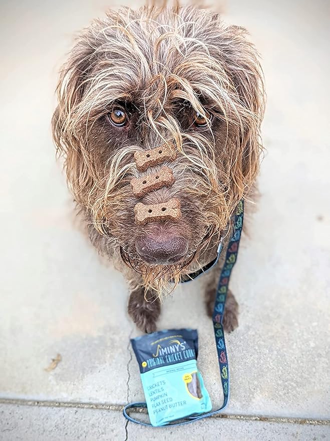 Jiminy's Original Cricket Cookie Dog Treat, Hypoallergenic, 5oz, Peanut Butter & Pumpkin Pack of 3
