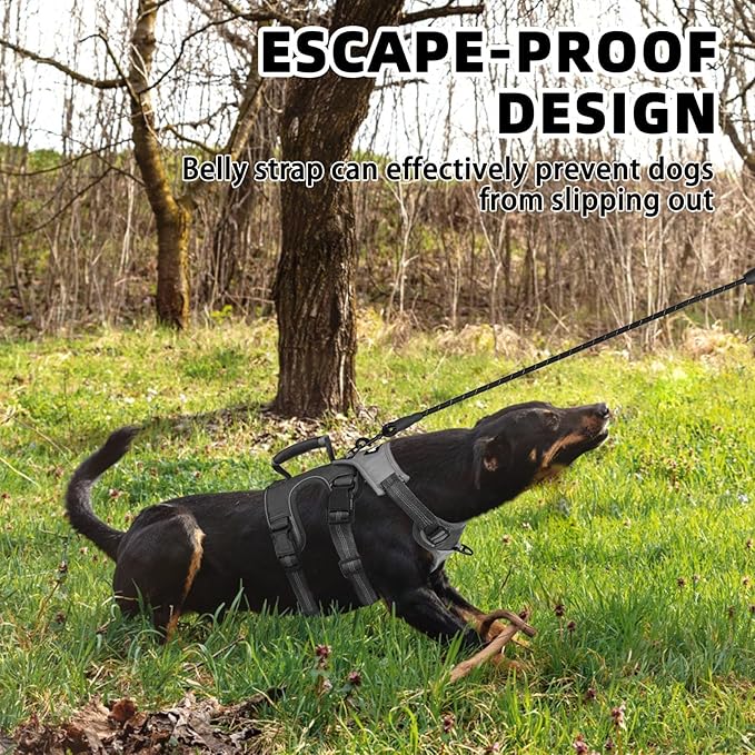 PUPTECK Escape Proof Dog Harness and Leash Set Upgraded No Pull Reflective Dog Vest with Lift Handle, Easy Control Pet Harness for Medium Large Dogs Training Walking Running