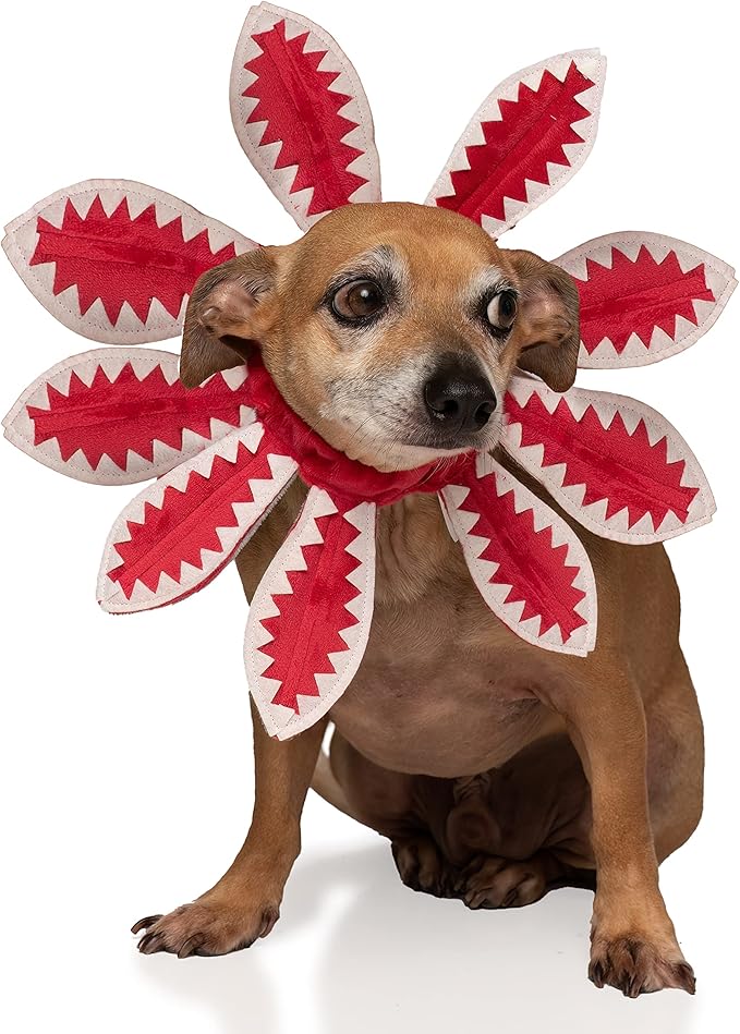 ComfyCamper Red Flower Dog Costume - X Large Medium Small French Lab Retriever Shepherd Pet Cosplay Halloween Costumes (Small)