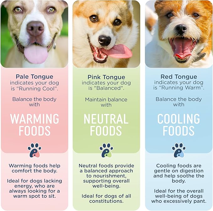 Side by Side Chicken & Lamb | Beef & Salmon Stew - Wet Dog Food & Dog Food Topper for All Breeds - Made with Nutrients & Whole Raw Ingredients - No Artificial Additives or Fillers (12.5 oz, 6-Pack)