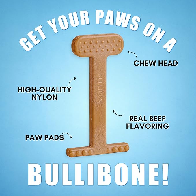 Bullibone Nylon Dog Chew Toy Nylon Bone - Improves Dental Hygiene, Easy to Grip Bottom, and Permeated with Flavor (Beef, XL - Single)