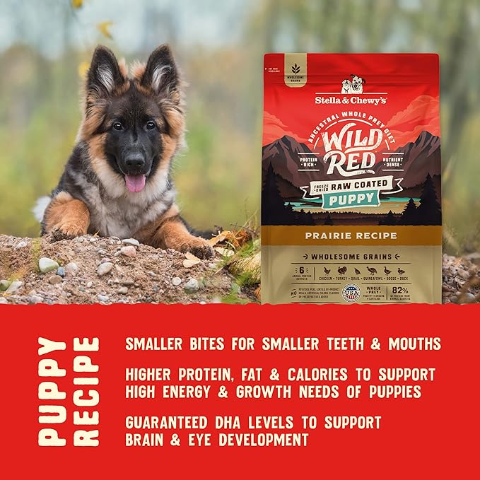 Stella & Chewy's Wild Red Dry Dog Food Raw Coated High Protein Wholesome Grains Puppy Prairie Recipe, 21 lb. Bag