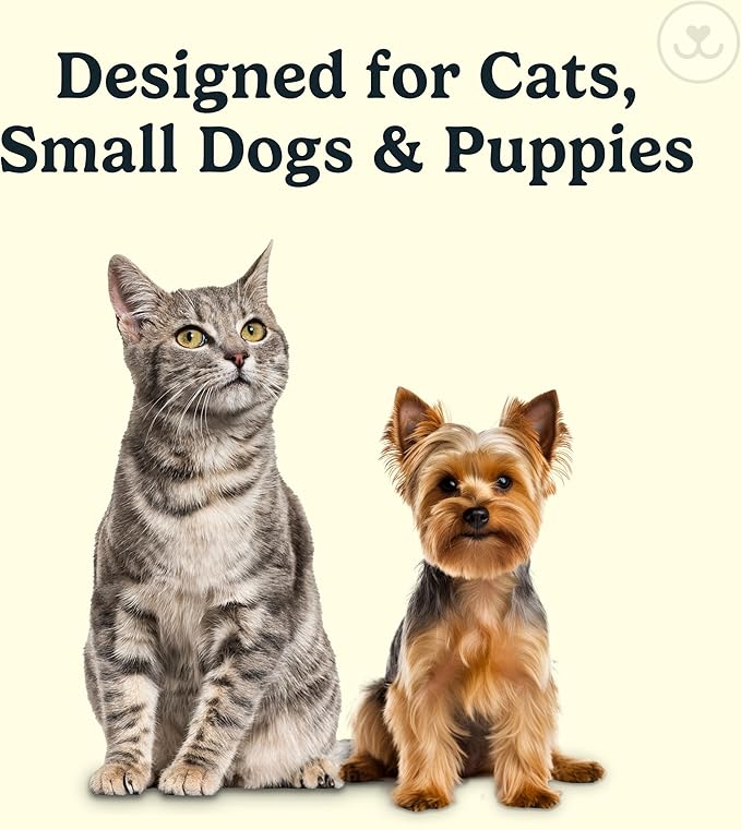 Jasper Microbrush Cat Toothbrush, Soft-Bristled Toothbrush Kit for Felines & Small Dogs, Premium Non-Slip Handle with 2 Replaceable Tooth Brush Heads, Use with Cat Toothpaste