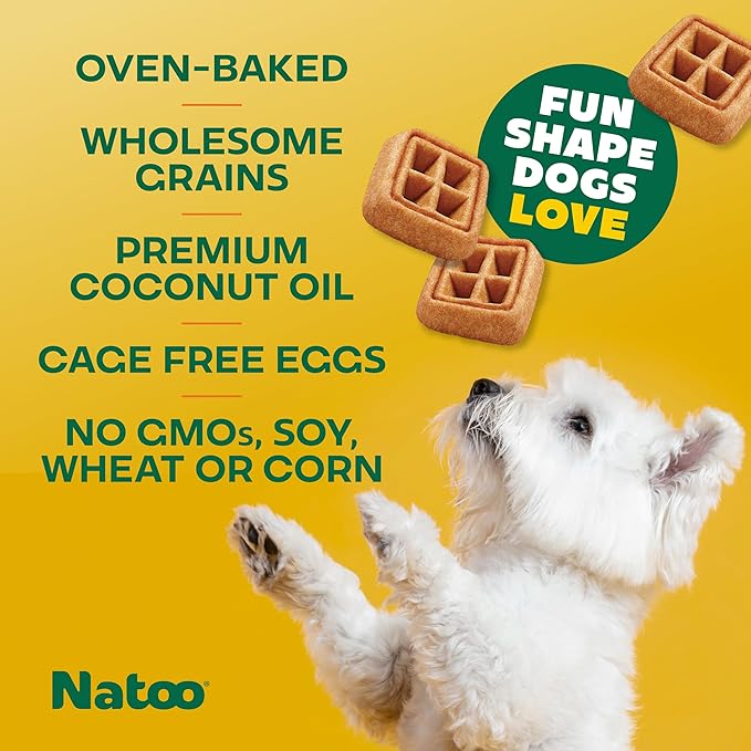 NATOO Dog Treats, Crunchy Biscuits Oats Banana and Honey, Natural Dog Treats, Rich in Omega 6, Prebiotics and Fiber, Antioxidants for Immunity, 8oz