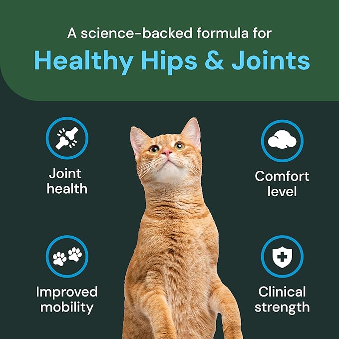 VetriScience Veterinary Strength Healthy Hip & Joint Chews - Cat Joint & Soft Tissue Health Supplement for Mobility - Clinical Strength Formula - Chicken Flavor - 60 Count