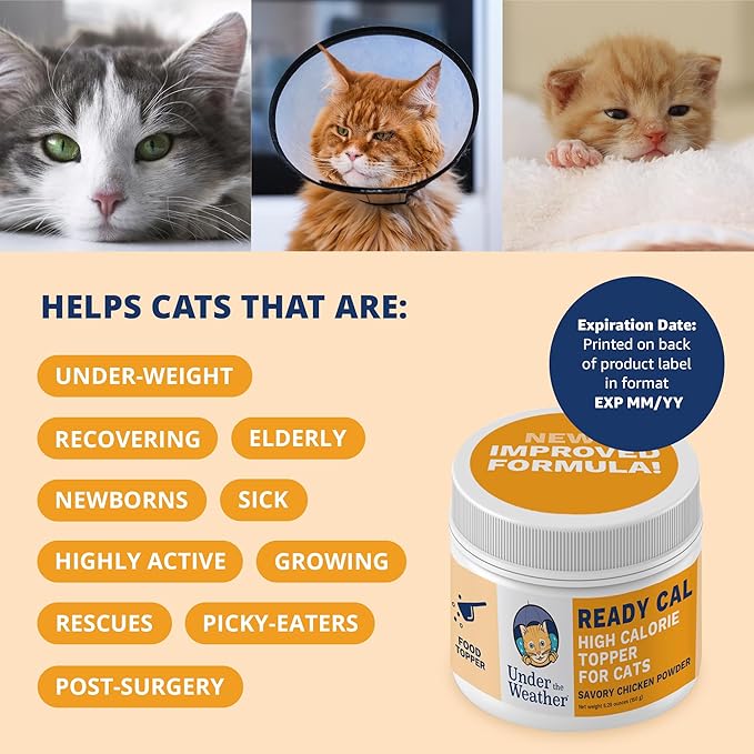 Under the Weather Ready Cal Powder for Cats | High-Calorie Weight Gainer & Appetite Stimulant | Cat Energy Booster Veterinarian-Approved Pet Supplement with Vitamins & Minerals | Chicken Flavor