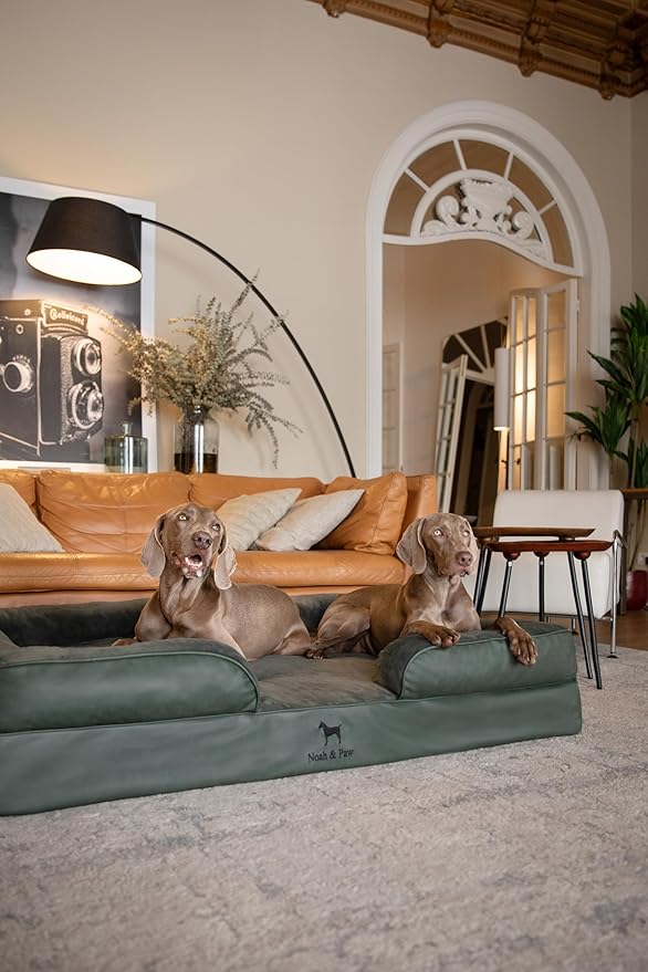 NOAH & PAW Giant Dog Bed XXL, 55x45x11 Inch, Orthopedic Dog Beds, Eggshell Memory Foam Infused with Cooling Gel, Inner Cover, Waterproof, Machine Washable (Faux Leather Sofa Collection)