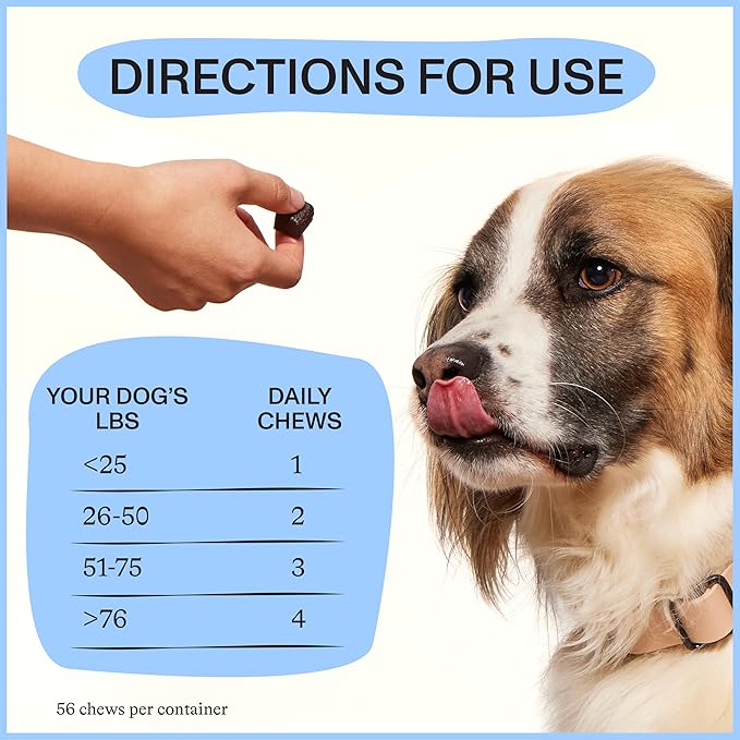 Spot & Tango Calming Supplements for Dogs - Vet-Approved for Anxiety and Stress Relief - L-Theanine, Passionflower, Ashwagandha, Chamomile - Flavored with Real Pineapple, 56 Count