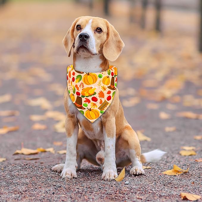 Thanksgiving Dog Bandanas - 2 Pack Reversible Fall Dog Scarf for Boy & Girl, Premium Durable Fabric, Autumn Bandana for Medium and Large Dogs (Large)
