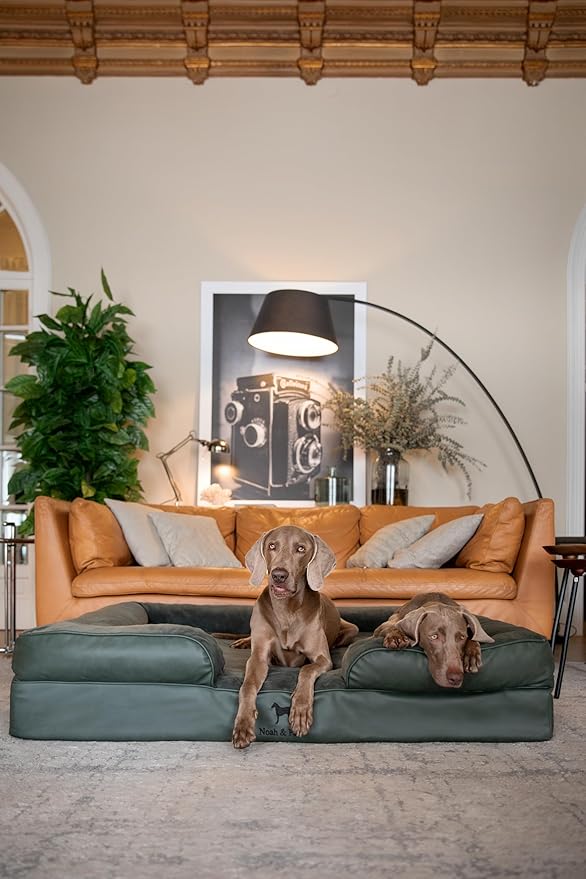 NOAH & PAW Giant Dog Bed XXL, 55x45x11 Inch, Orthopedic Dog Beds, Eggshell Memory Foam Infused with Cooling Gel, Inner Cover, Waterproof, Machine Washable (Faux Leather Sofa Collection)