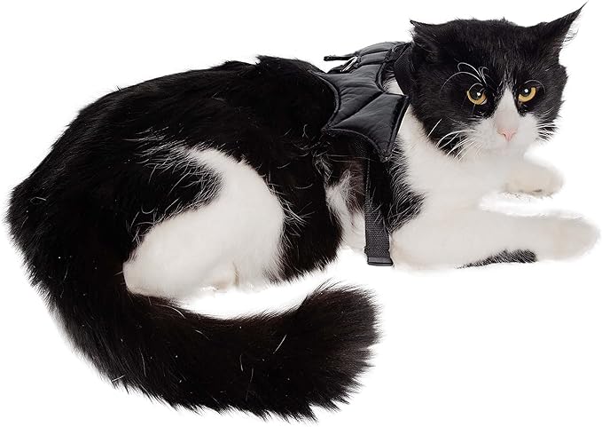 Pet Krewe Bat Cat Costume - Bat Wings - Harness Attachment, One Size Fits All - Perfect for Halloween, Christmas Holiday, Parties, Photoshoots, Gifts for Dog Lovers (One Size)