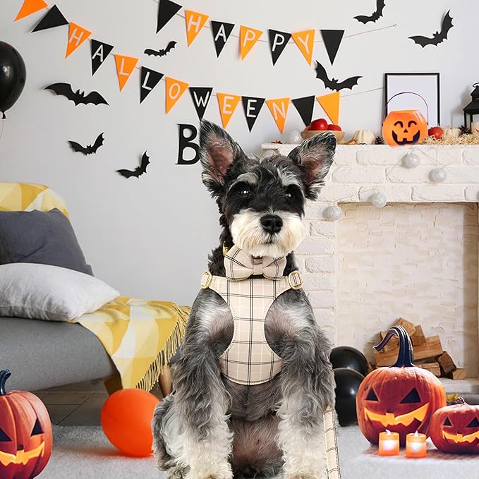 Beirui Cute Extra Small Dog Harness Collar and Leash Set with Bowtie, Soft Adjustable Plaid Puppy Harness for Small Sized Dogs Cats Walks Parties and Photoshoots(Beige,XS:Chest 13-18")