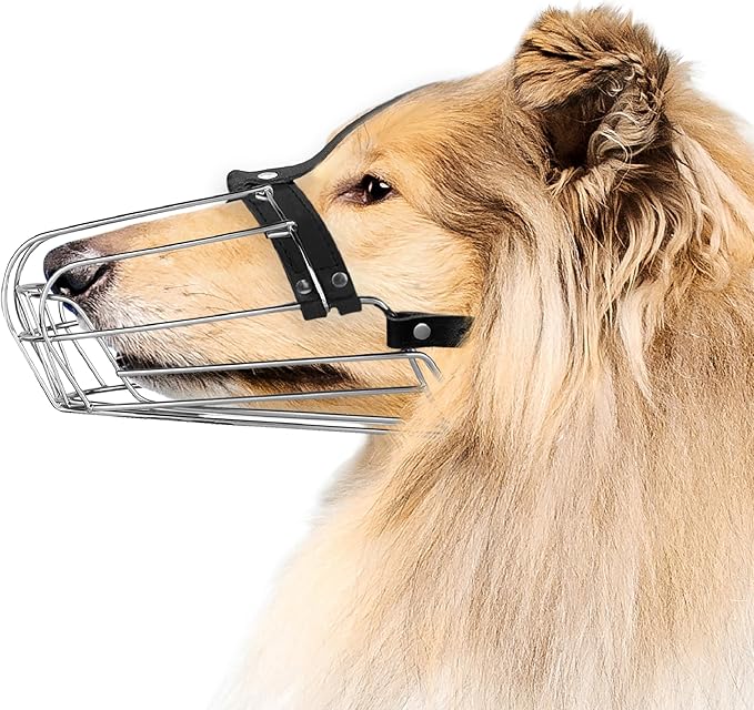 BRONZEDOG Dog Muzzle Wire Basket Metal Mask for Small, Medium and Large Dogs, Breathable, Dog can Drink, Adjustable, Padded, Training, Prevents Biting (Size 8: Greyhound & Collie)