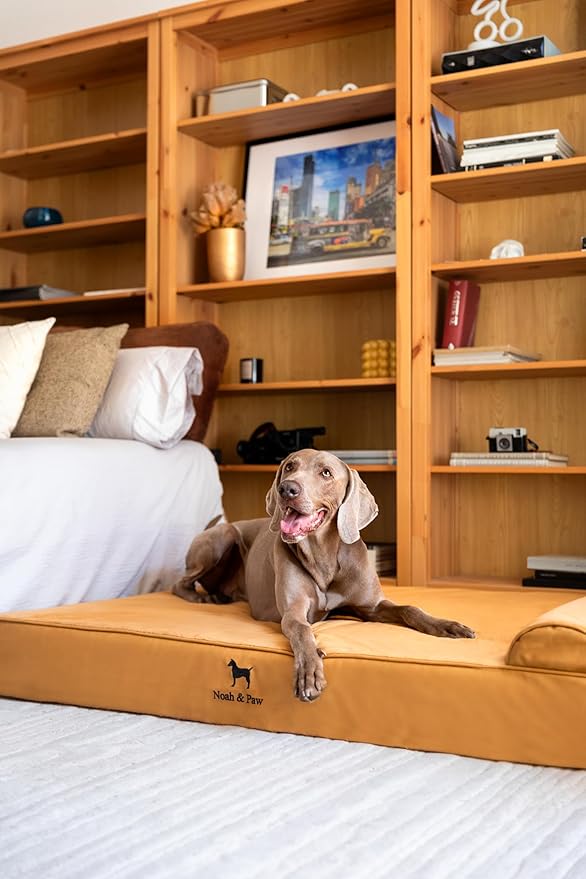 NOAH & PAW Giant Dog Bed XXL 55x45x9.5 Inch, Orthopedic Dog Beds, Eggshell Memory Foam Infused with Cooling Gel, Waterproof, Machine Washable, Includes Inner Cover (Faux Leather)