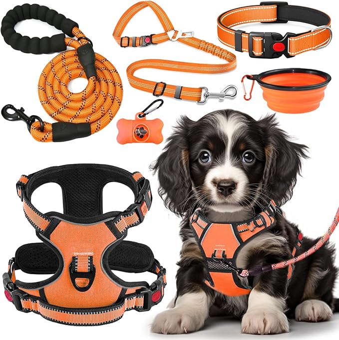 No Pull Dog Harness, Collar & Leash Set | Includes Dog Seat Belt, Collapsible Bowls & Poop Bag Dispenser. Ideal for Training, Walking, Hiking. Fits Small to Large Dogs(Orange-M)