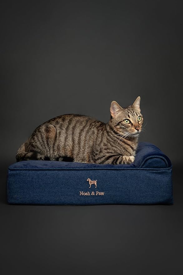 NOAH & PAW Small Dog Bed, 20x15x6.5 Inch, Cat Bed for Indoor Cats, Orthopedic Eggshell Memory Foam Infused with Cooling Gel, Waterproof, Machine Washable, Includes Inner Cover (Denim Collection)