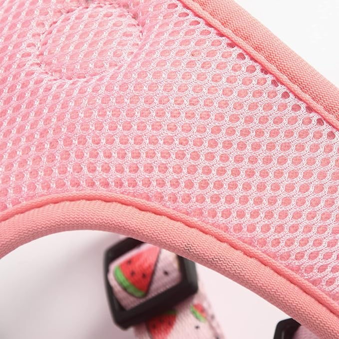 Dog Harness and Leash Set, Adjustable Dog Harness, Dog Leash, No Pull No Choke Puppy Harnesses for Walking Training for Small Medium Pet