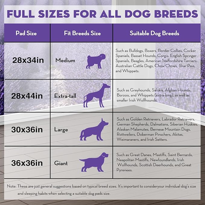 CROCI Dog Pads Extra Large 36x36in, Puppy Pads with Adhesive Tabs Super Absorbent Up to 11 Cups, Disposable (100 Counts)