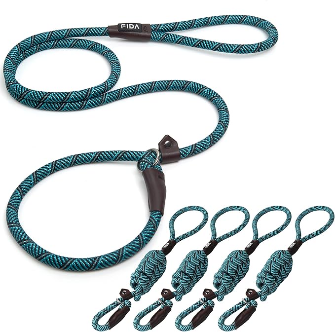 Fida Durable Heavy Duty Slip Leash Bulk Pack of 5, 6 FT Comfortable Strong Rope for Large, Medium & Small Dogs - No Pulling Pet Training Leash with Highly Reflective (Blue)